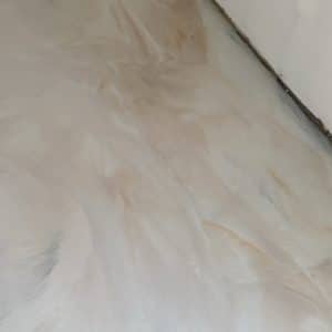 Img 4296 Large