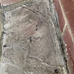 Img 4320 Large