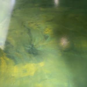 Img 5191 Large