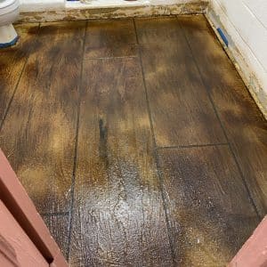 Img 0135 Large