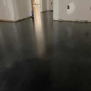 Img 0559 Large