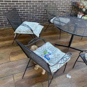 Img 1495 Large