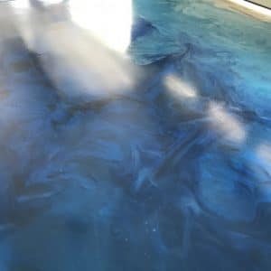 Img 4165 Large